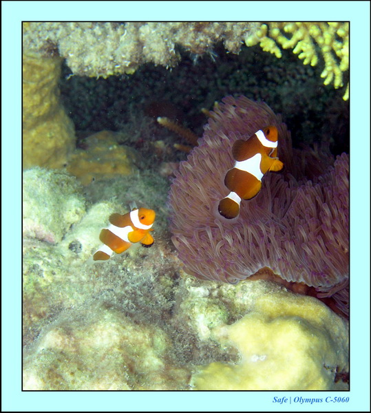 2005 - 08 - Perhentian  - 065.JPG